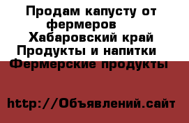Продам капусту от фермеров.  - Хабаровский край Продукты и напитки » Фермерские продукты   